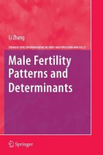 Male Fertility Patterns and Determinants
