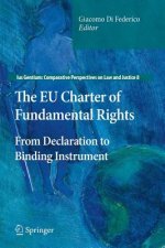 EU Charter of Fundamental Rights
