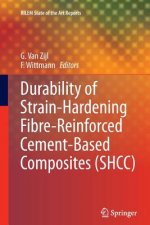 Durability of Strain-Hardening Fibre-Reinforced Cement-Based Composites (SHCC)