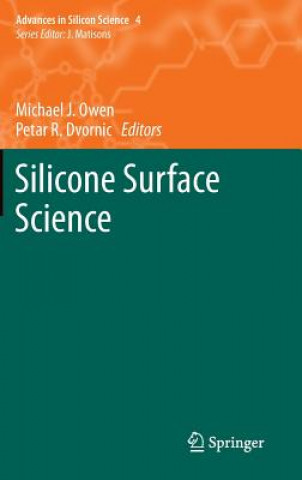 Silicone Surface Science