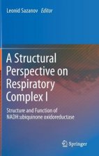 Structural Perspective on Respiratory Complex I