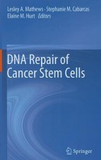 DNA Repair of Cancer Stem Cells