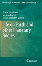 Life on Earth and other Planetary Bodies