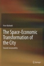 Space-Economic Transformation of the City