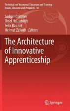 Architecture of Innovative Apprenticeship