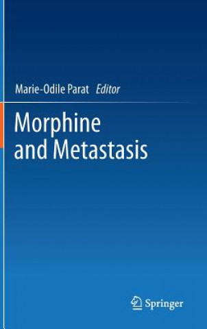 Morphine and Metastasis