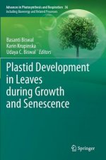 Plastid Development in Leaves during Growth and Senescence