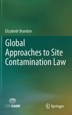 Global Approaches to Site Contamination Law