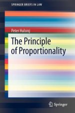 Principle of Proportionality
