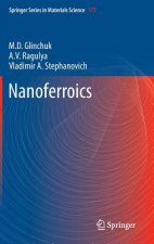 Nanoferroics