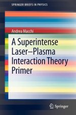 Superintense Laser-Plasma Interaction Theory Primer