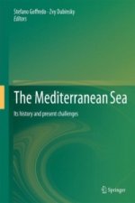 Mediterranean Sea