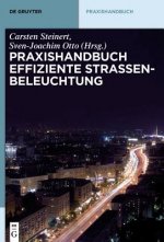 Praxishandbuch effiziente Strassenbeleuchtung