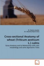 Cross-Sectional Anatomy of Wheat (Triticum Aestivum L.) Culms