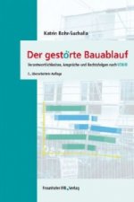 Der gestörte Bauablauf