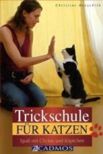 Trickschule für Katzen