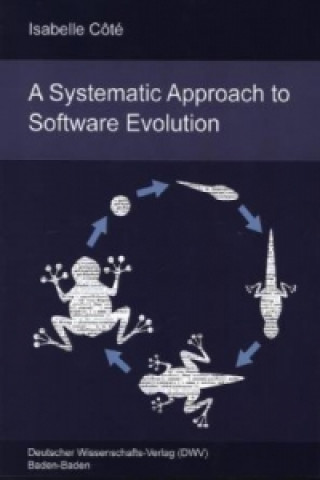 A Systematic Approach to Software Evolution