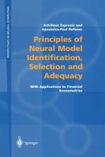 Principles of Neural Model Identification, Selection and Adequacy