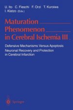Maturation Phenomenon in Cerebral Ischemia III