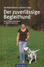 Der zuverlässige Begleithund