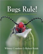 Bugs Rule!