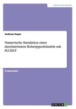 Numerische  Simulation eines durchströmten Rohrrippenbündels mit FLUENT