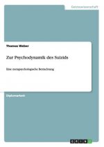 Zur Psychodynamik des Suizids