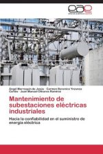 Mantenimiento de Subestaciones Electricas Industriales