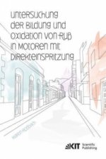 Untersuchung der Bildung und Oxidation von Russ in Motoren mit Direkteinspritzung