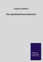 Das Gesetzestreue Judentum