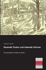 Rasende Fluten Und Tobende Sturme