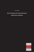 Uber Entstehung Und Fortentwicklung Der Rubenzucker-Fabrikation