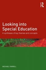 Looking into Special Education