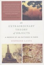Extraordinary Theory of Objects
