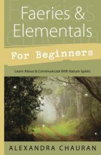 Faeries and Elementals for Beginners