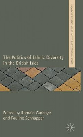 Politics of Ethnic Diversity in the British Isles