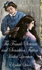Female Servant and Sensation Fiction