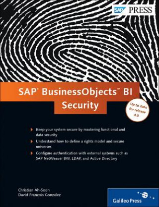 SAP BusinessObjects BI Security