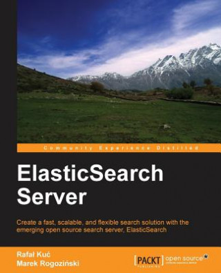 ElasticSearch Server