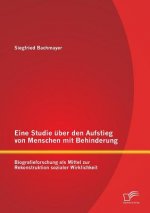 Eine Studie uber den Aufstieg von Menschen mit Behinderung