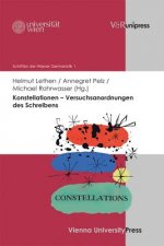 Konstellationen - Versuchsanordnungen der Literatur. Bd.1