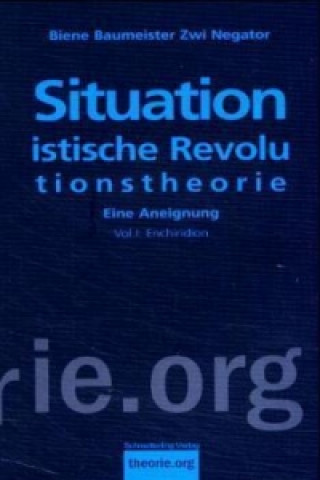 Situationistische Revolutionstheorie