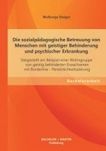 sozialpadagogische Betreuung von Menschen mit geistiger Behinderung und psychischer Erkrankung