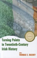 Turning Points in Twentieth Century Irish History