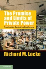 Promise and Limits of Private Power