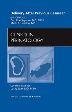 Delivery After Previous Cesarean, An Issue of Clinics in Perinatology