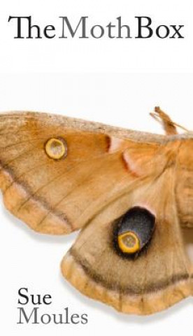 Moth Box