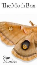 Moth Box