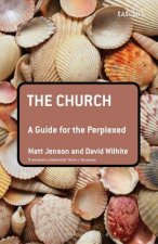 Church: A Guide for the Perplexed