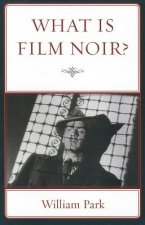 What is Film Noir?